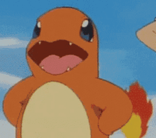Charmander Charmander Pokemon GIF