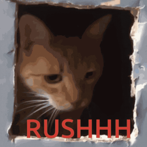 Chat Rush GIF