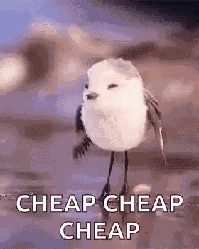 Cheap Money GIF