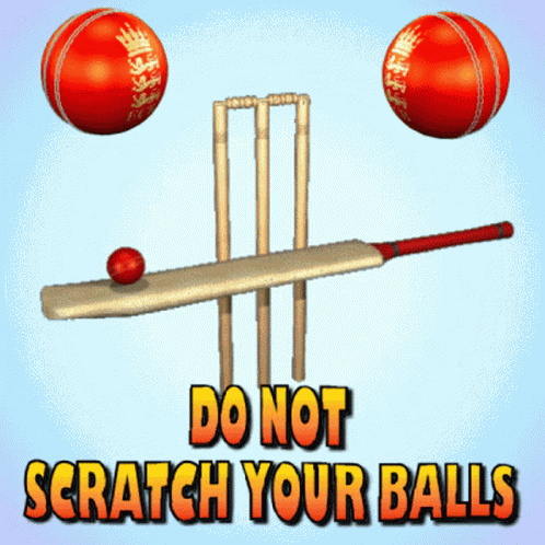 Cheating At Cricket Do Not Scratch Your Balls GIF