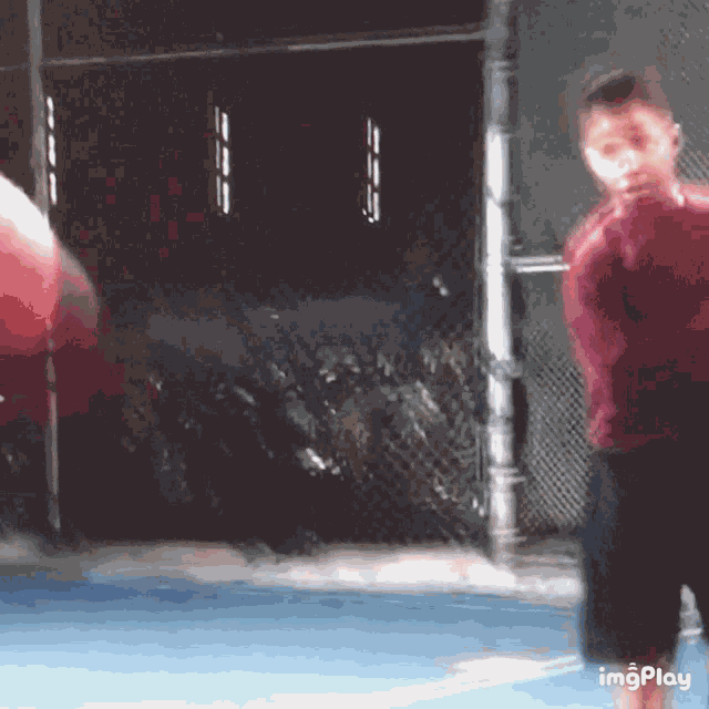 Check Ball GIF