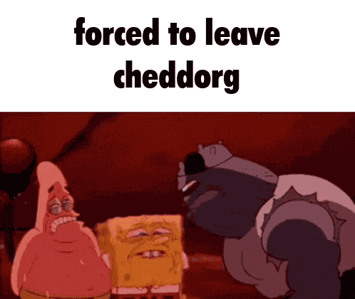 Cheddorg Spongebob GIF