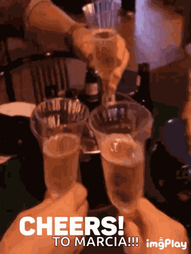Cheers Celebration GIF