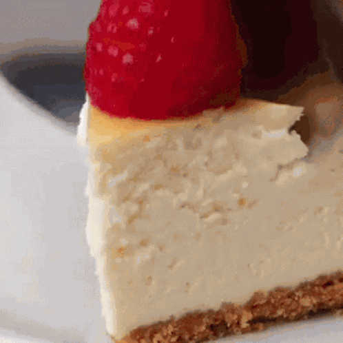 Cheesecake Dessert GIF