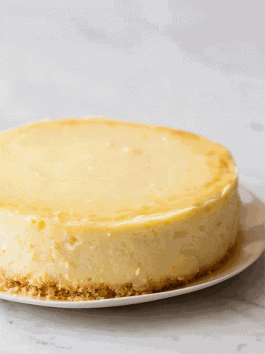 Cheesecake Dessert GIF