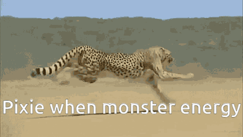 Cheetah GIF