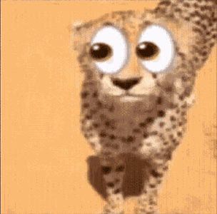 Cheetah Lets Have A Look GIF