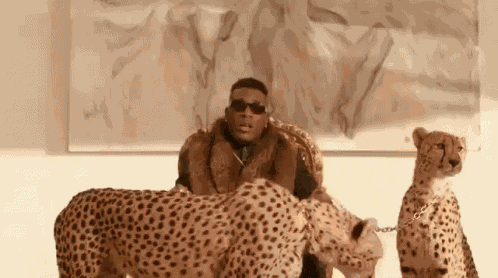 Cheetah Rich GIF
