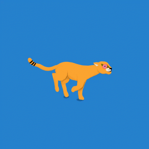 Cheetah Running GIF