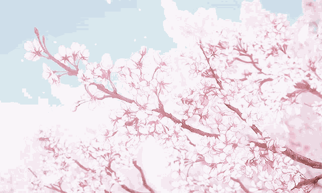 Cherry Blossom Anime GIF