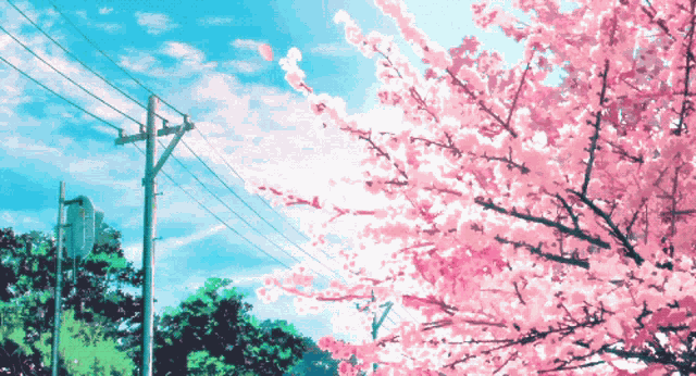 Cherry Blossoms Anime GIF
