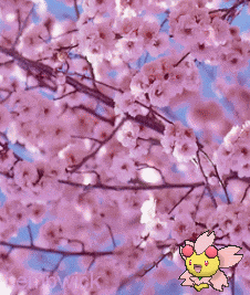 Cherry Blossoms Cherrim GIF
