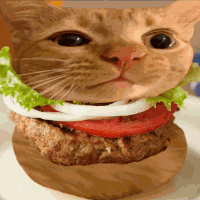 Chicken Burger Chickenburger GIF