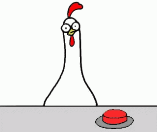 Chicken Chicken Bro GIF
