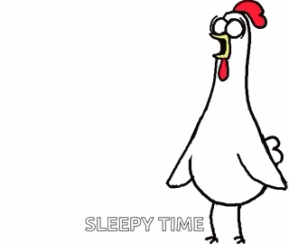 Chicken Chicken Bro GIF