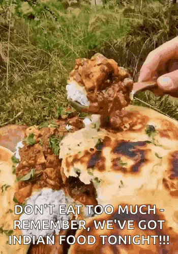 Chicken Curry Naan Bread GIF