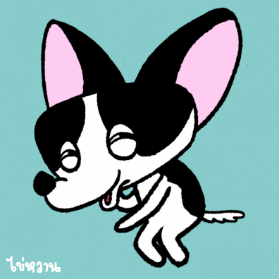 Chihuahua Dancing GIF