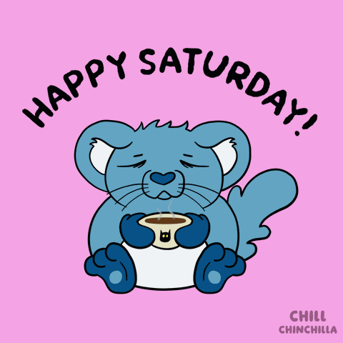 Chill Chinchilla GIF
