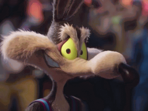 Chilldoggis Gif GIF