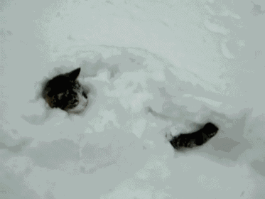 Chillin GIF
