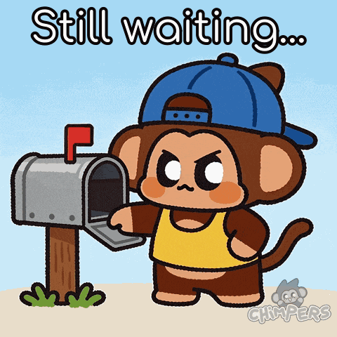 Chimpers Chimpi GIF
