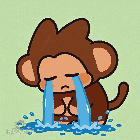 Chimpers Chimpi GIF