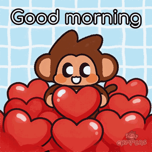 Chimpers Chimpi GIF