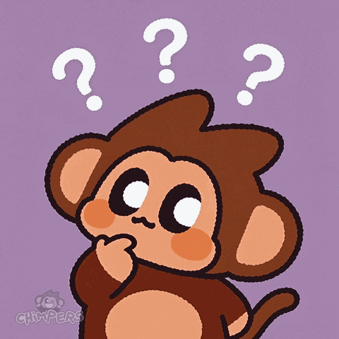 Chimpers Chimpi GIF