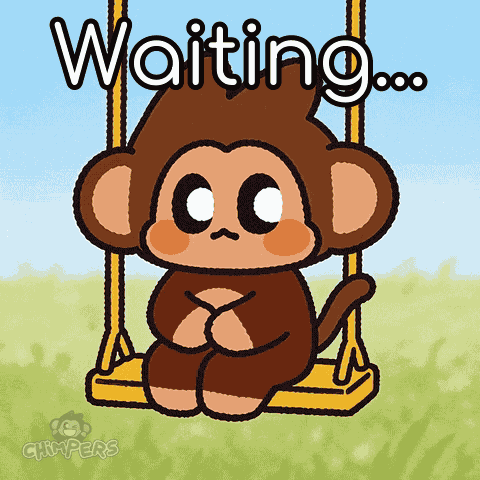 Chimpers Chimpi GIF