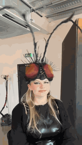 Chinchilla Chinchilla Music GIF
