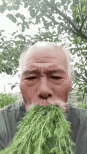 Chineese Man Eating Grass Yum GIF