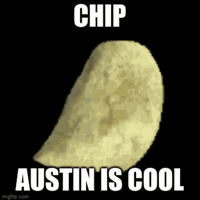 Chip Spin GIF