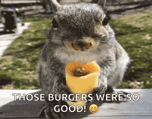Chipmunk GIF