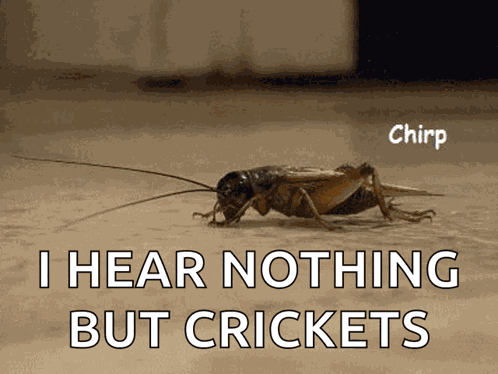 Chirp Chirp Chirp GIF
