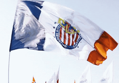 Chivas GIF