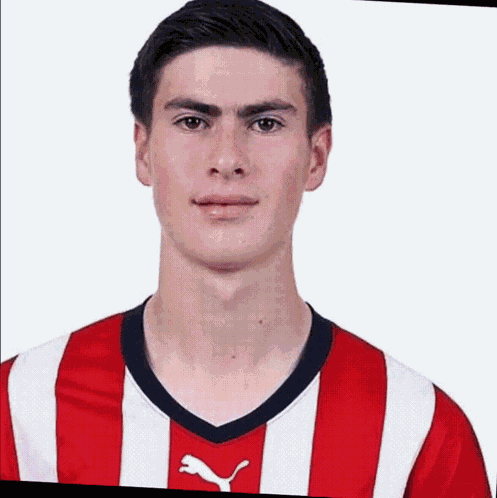 Chivas Hormiga GIF