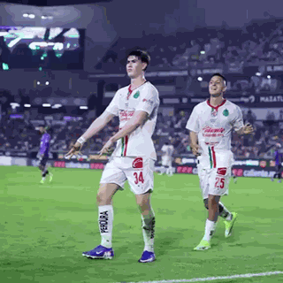 Chivas Hormiga GIF