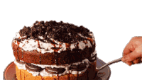 Chocolate Cake Cookie Cake Sticker