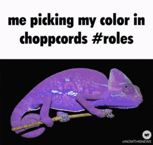 Choppcord GIF