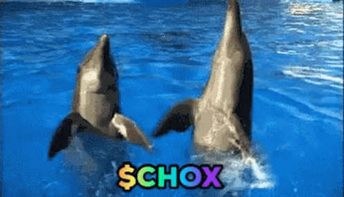 Chox Chainox GIF