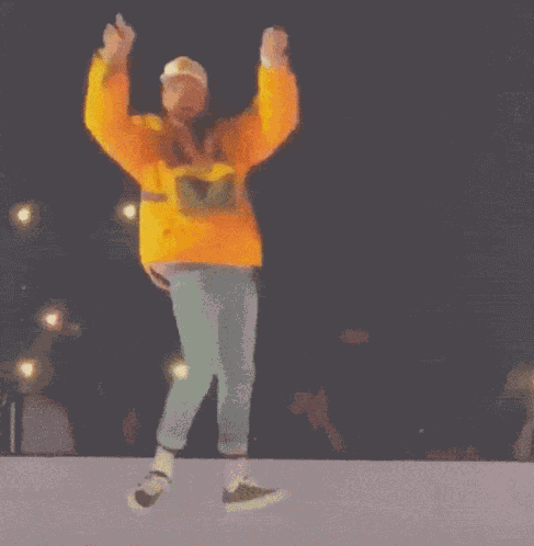 Chris Brown Chris Brown Party GIF