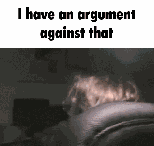 Chris Chan Argument GIF