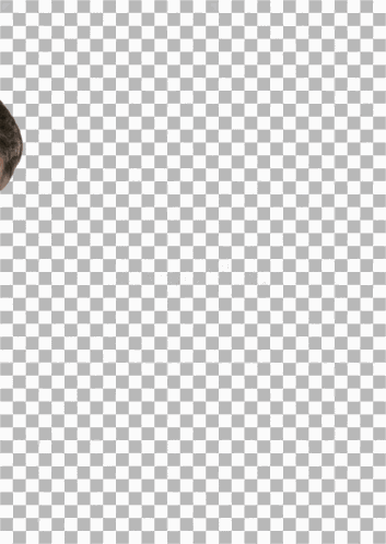 Chris Hansen Reaction GIF