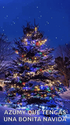 Christmas Blessings GIF