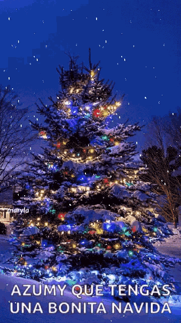 Christmas Blessings GIF