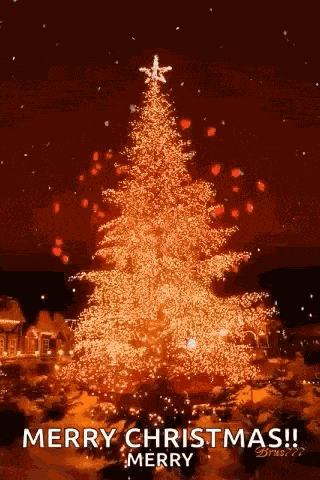 Christmas Cheer Christmas Tree GIF