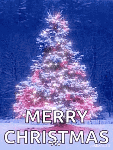 Christmas Christmas Tree GIF