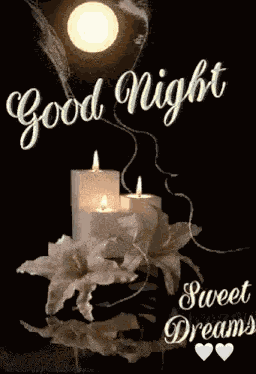 Christmas Good Night GIF