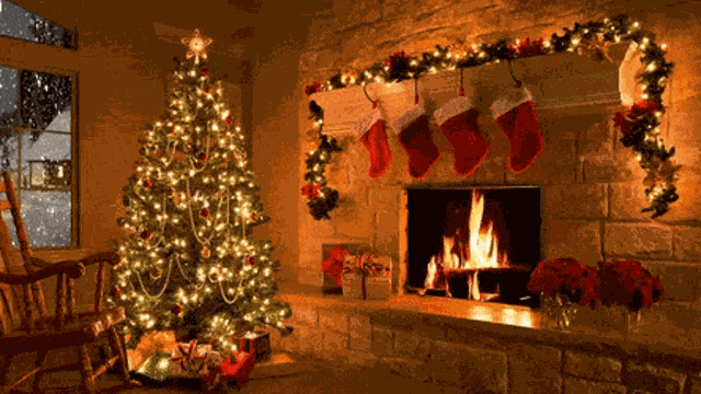 Christmas Is Coming Christmas Tree GIF