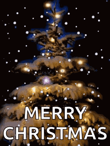 Christmas Lights Christmas Tree Lights GIF